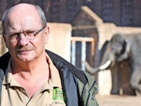 Tierpfleger Zoo Leipzig gestorben